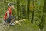 Kind Wald Stein