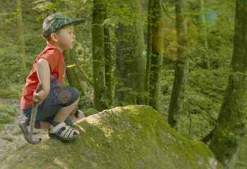 Kind Wald Stein